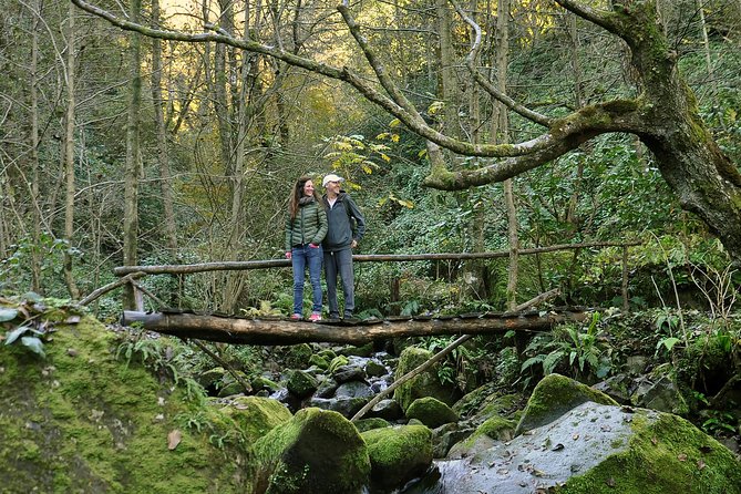 Private Hiking Tour to Mtirala National Park from Batumi - Walking the 6-kilometer Chestnut Trail