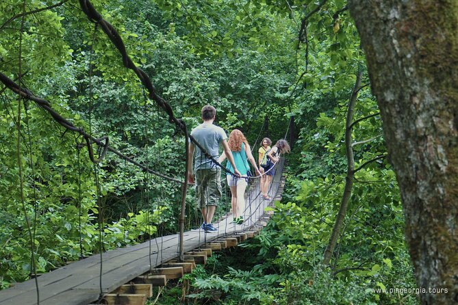 Private Hiking Tour to Mtirala National Park from Batumi - Reaching the waterfall and seeing Mtirala’s wetter side