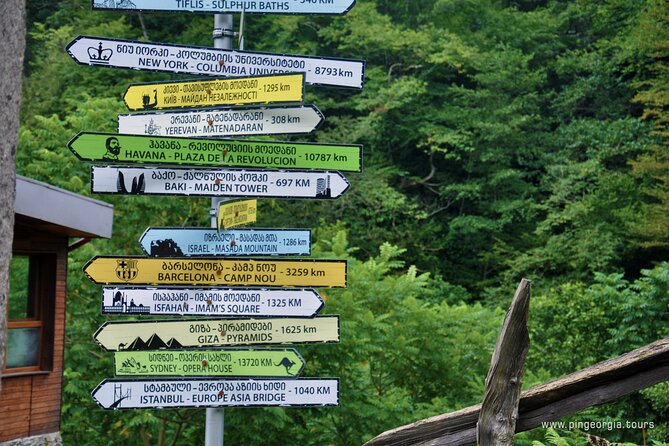 Private Hiking Tour to Mtirala National Park from Batumi - Who will get the most from this private outing