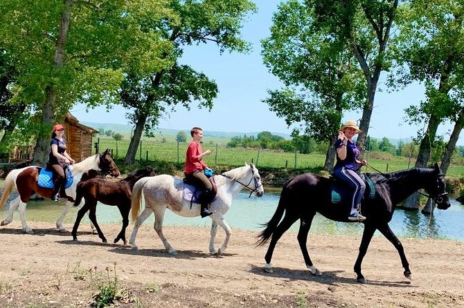 Private Horse Ridding tour - Riding near Lilo Mall instead of in central Tbilisi