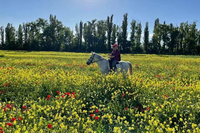 Private Horse Ridding tour - Weather and the importance of keeping your schedule flexible