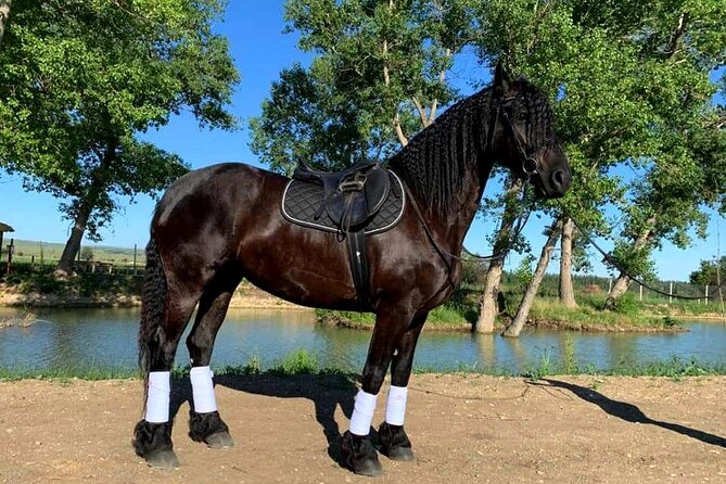 Private Horse Ridding tour - What happens during the one-hour riding session