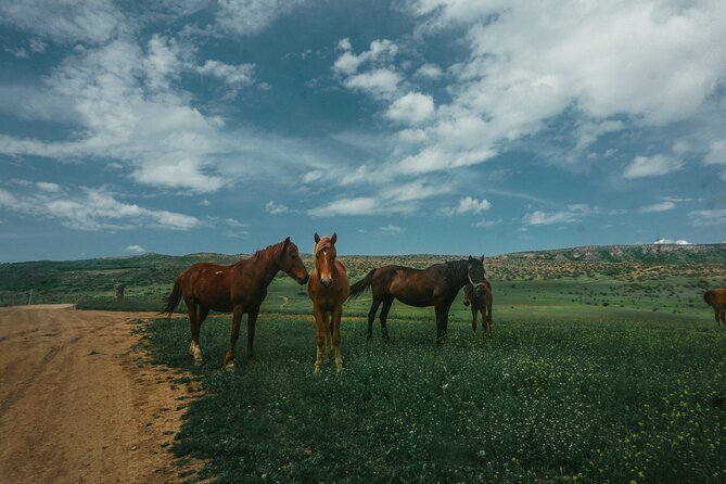Private Horse Riding Adventure in Tbilisi - Photos without losing control of the reins