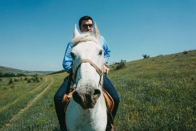 Private Horse Riding Adventure in Tbilisi - What the mixed quality means for you
