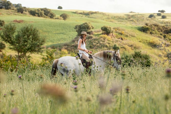 Private Horse Riding Adventure in Tbilisi - Following the one-hour route