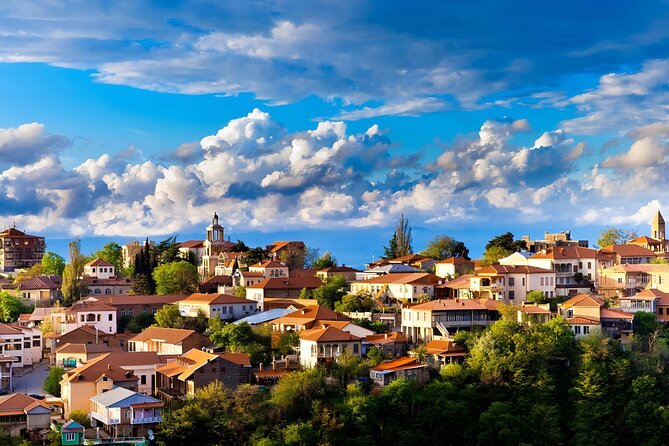 Private Tour From Tbilisi to Kakheti Sighnaghi with Wine Tasting - What the private vehicle changes