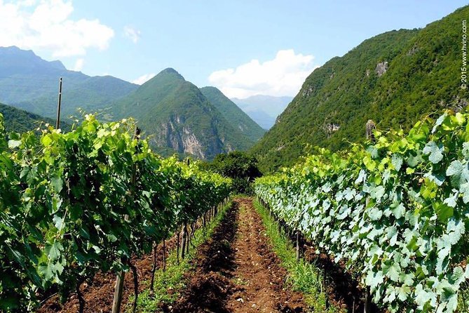 Private Tour to Mtskheta and Georgian Wine Tasting from Tbilisi - Is seven hours enough?