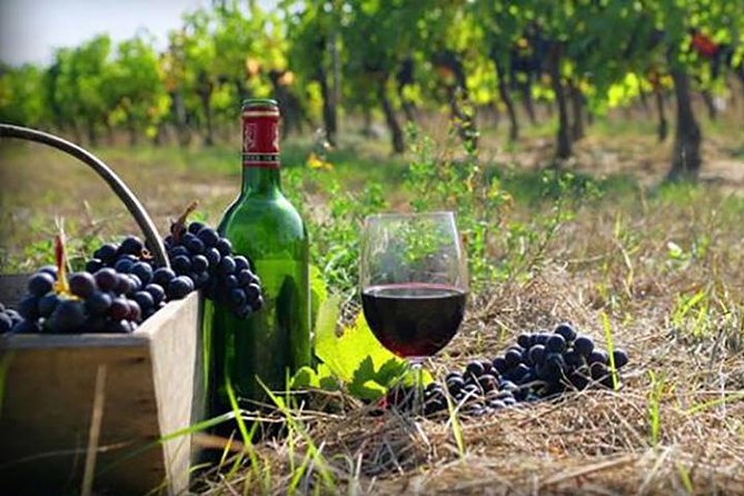 Private Wine Tour to Kakheti from Tbilisi - From Tbilisi to Kakheti over Gombori Pass