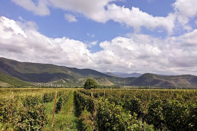 RACHA region with TSKHRAJVARI and wine tasting from Kutaisi - Two Hours at a Khvanchkara Winery