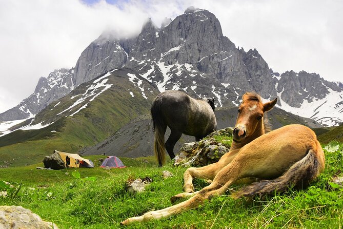 Round Trip Bus Transfer to Juta from Kazbegi - Which departure gives you the better day