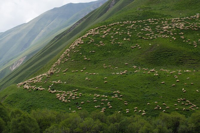 Round-Trip Bus Transfer to Truso Valley from Kazbegi - Key points to know before you go