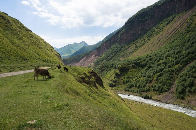 Round-Trip Bus Transfer to Truso Valley from Kazbegi - Mineral springs and the open valley