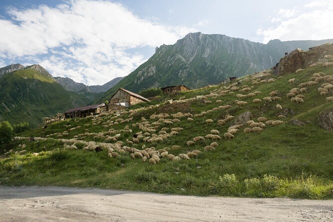 Round-Trip Bus Transfer to Truso Valley from Kazbegi - Ketrisi and the abandoned settlements