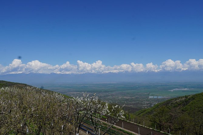 Secrets of Kakheti: Wine & Home-Cooked Lunch - KTW winery starts the wine story