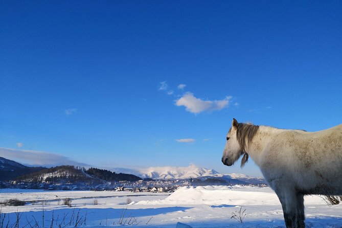 Ski & Snow Tour to Bakuriani from Kutaisi with Borjomi Stop - A guide-led day with room to adapt
