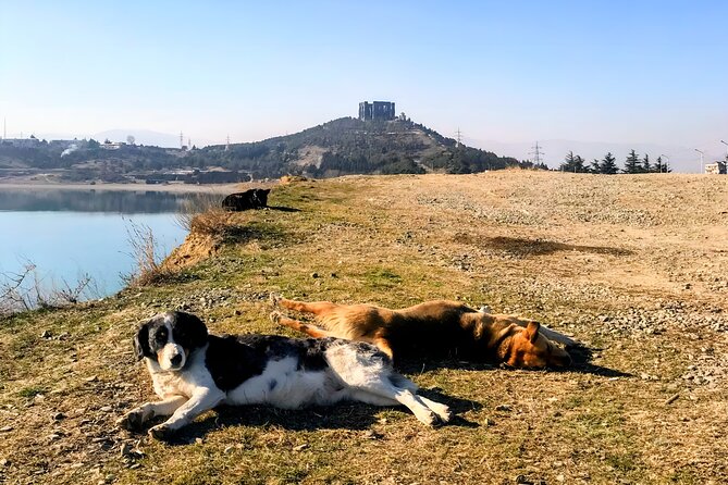 Tbilisi: Sabaduri Forest, Georgian Stonehenge & Bear Sanctuary - Jvari Monastery and the rivers below Mtskheta