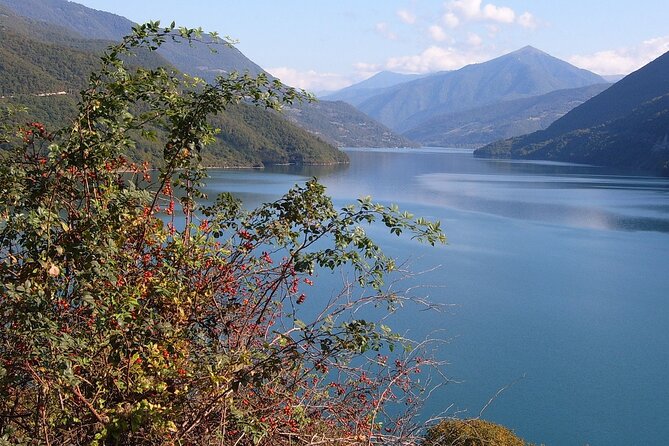 Tbilisi to Kazbegi, Gudauri, and Ananuri Day Tour - Lunch at Zemo Mleta needs a careful budget