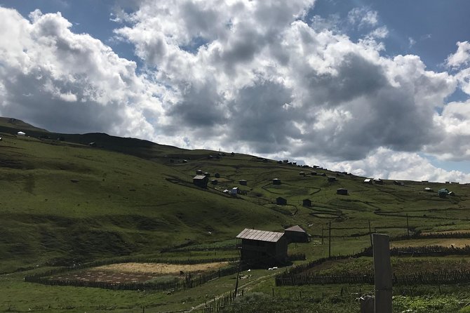 The Best of Georgia 7 Days Private Jeep Tour from Tbilisi - Day 4: Batumi Botanical Garden and Enguri Reservoir