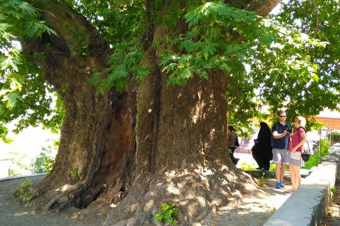 Tour to Kakheti. Sighnaghi –Bodbe Monastery –Tsinandali –Telavi –Winery –Gombori - Gombori Pass on the way back to Tbilisi