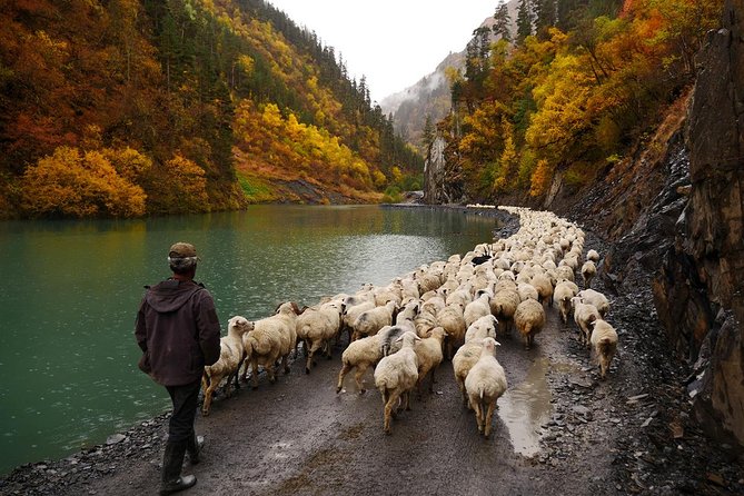 Trekking Tour from Tusheti to Khevsureti via Atsunta Pass - Day 2: Dartlo, Kvavlo, and the first village trails
