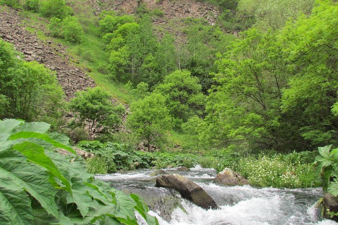 Trip to The Diamond Bridge and Dashbashi Canyon - How the private format changes the day