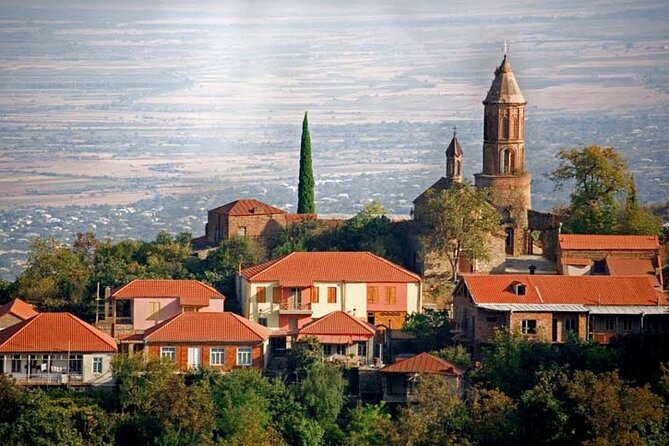 Whole day Wine Tour to Kakheti from Tbilisi - Key points to know before you book