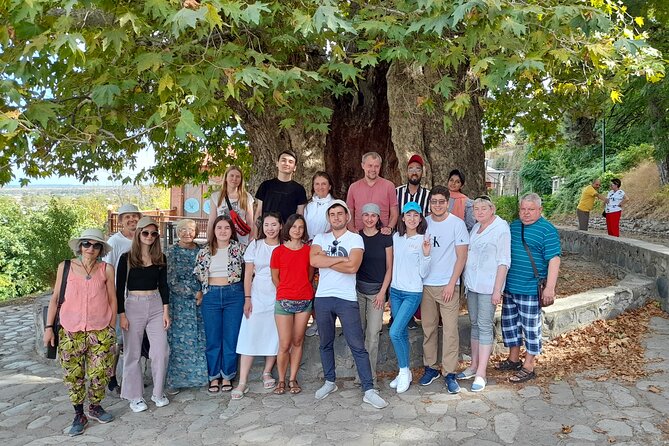 Whole day Wine Tour to Kakheti from Tbilisi - Sighnaghi brings the strongest views and the tightest schedule