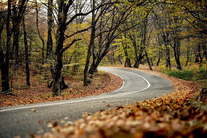 Whole day Wine Tour to Kakheti from Tbilisi - Gombori Pass makes the ride home part of the tour