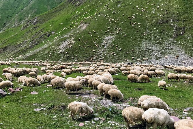 Wild Georgia 4WD PACK Adventure through Kakheti and Kazbegi 2in1 - Truso Valley and the road to Stepantsminda