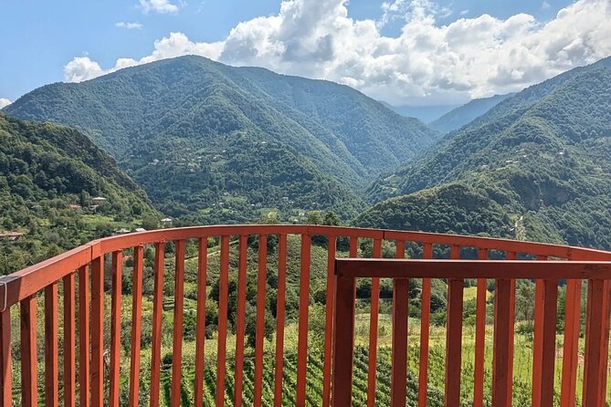 Wine and Dine Tour To Batumi Waterfalls - Mountainous Adjara - What the $42 price really covers