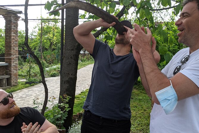 Wine Tasting Tour in Georgia's Cradle of Wine - Day 1: Bodbe Monastery and Signagi above the Alazani Valley